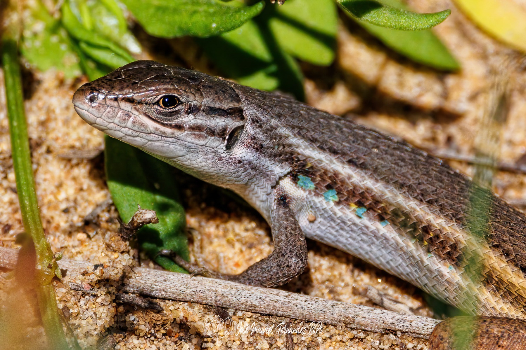 438899358_437852555463992_5389574714114742613_nr