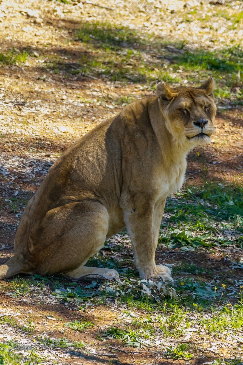 26094950897_2af9449115_o