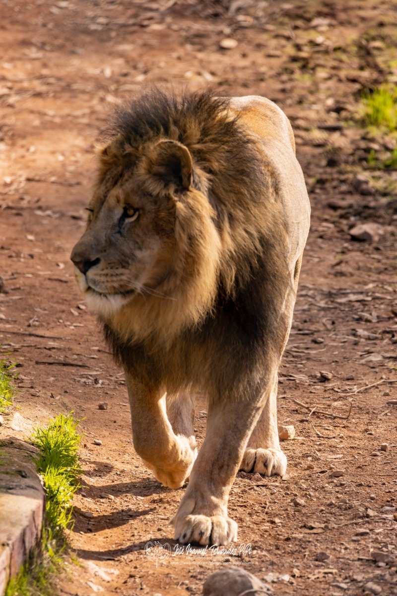 49582558593_9f8187f1c8_o