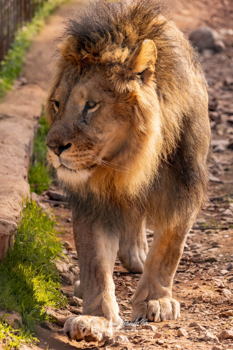 49582558608_d7cf237885_o