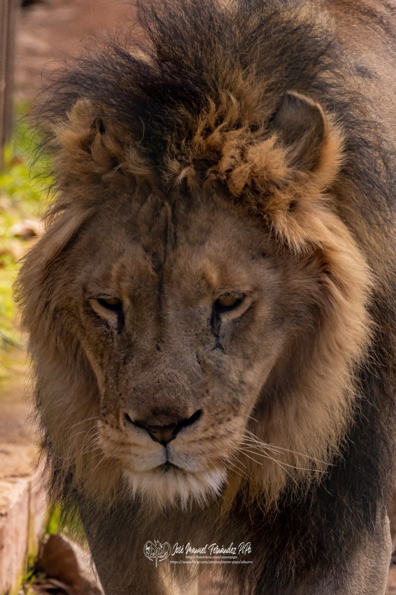 49582558633_16ba4c2384_o