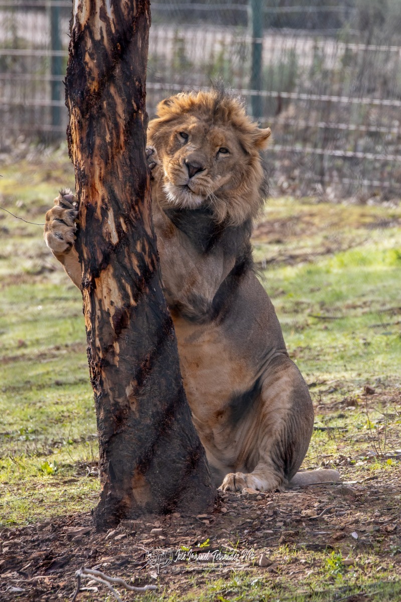 49582982643_1e9e6aebf6_o