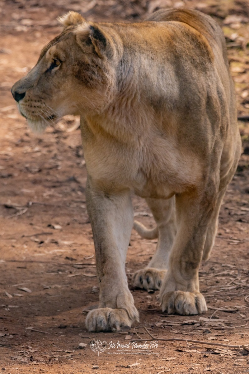 49583291572_bc14cdd6b0_o