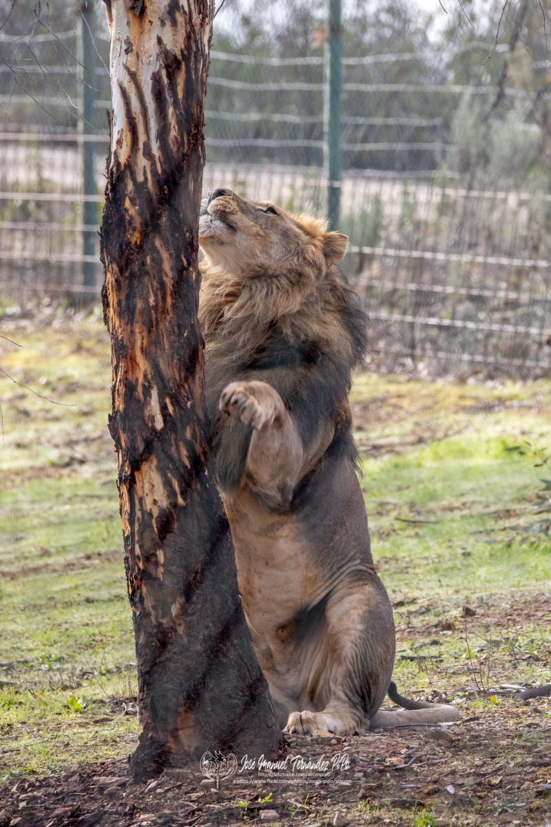 49583713822_77ca0afda9_o