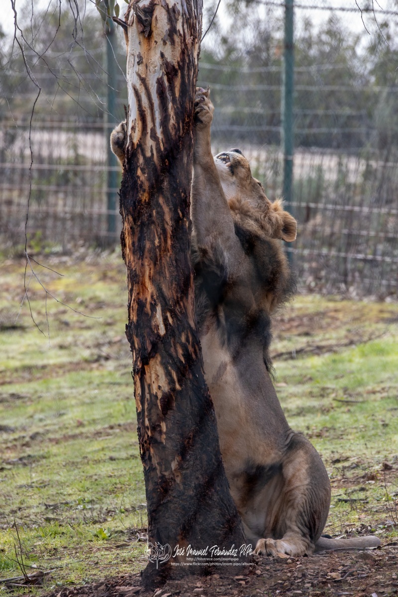 49583713827_38fa6fee7e_o