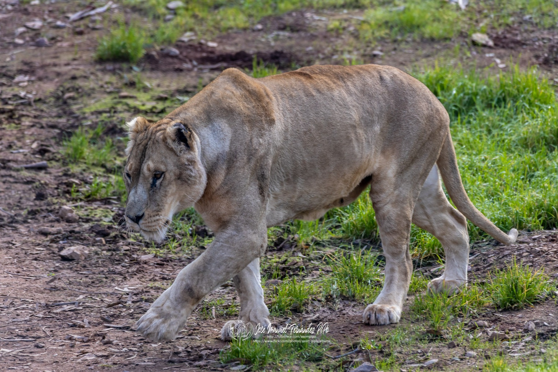 49741935338_06e89edf44_o