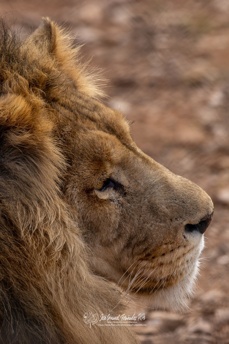 49741935353_abcfd01819_o