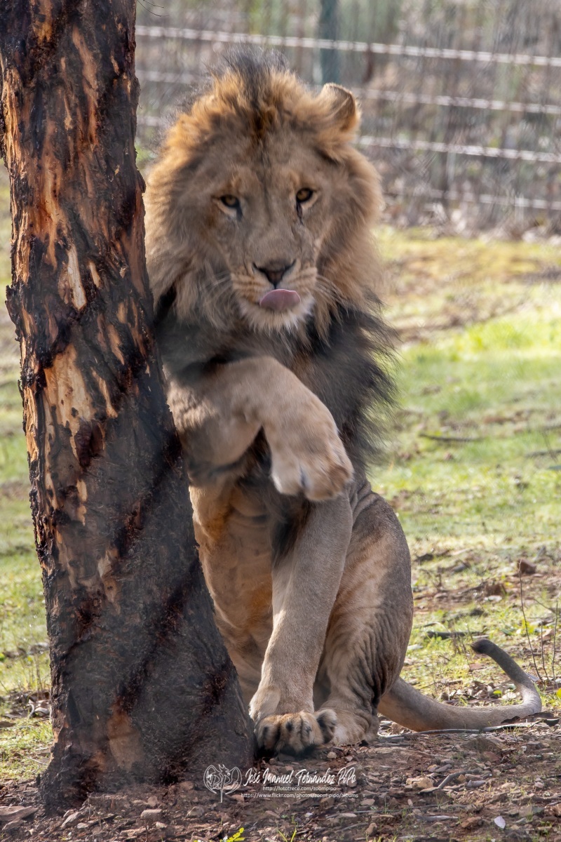 49741935448_49a83a420c_o