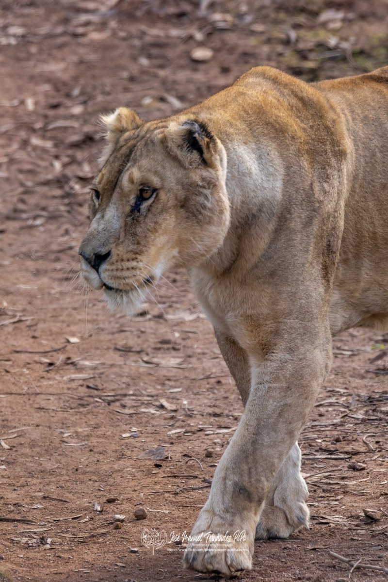 49742808747_20e6198dda_o