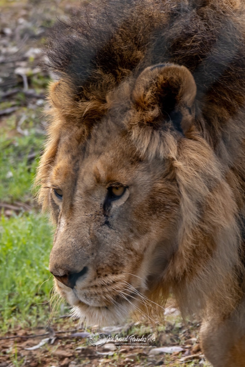 49742808857_7bbc1e0a31_o