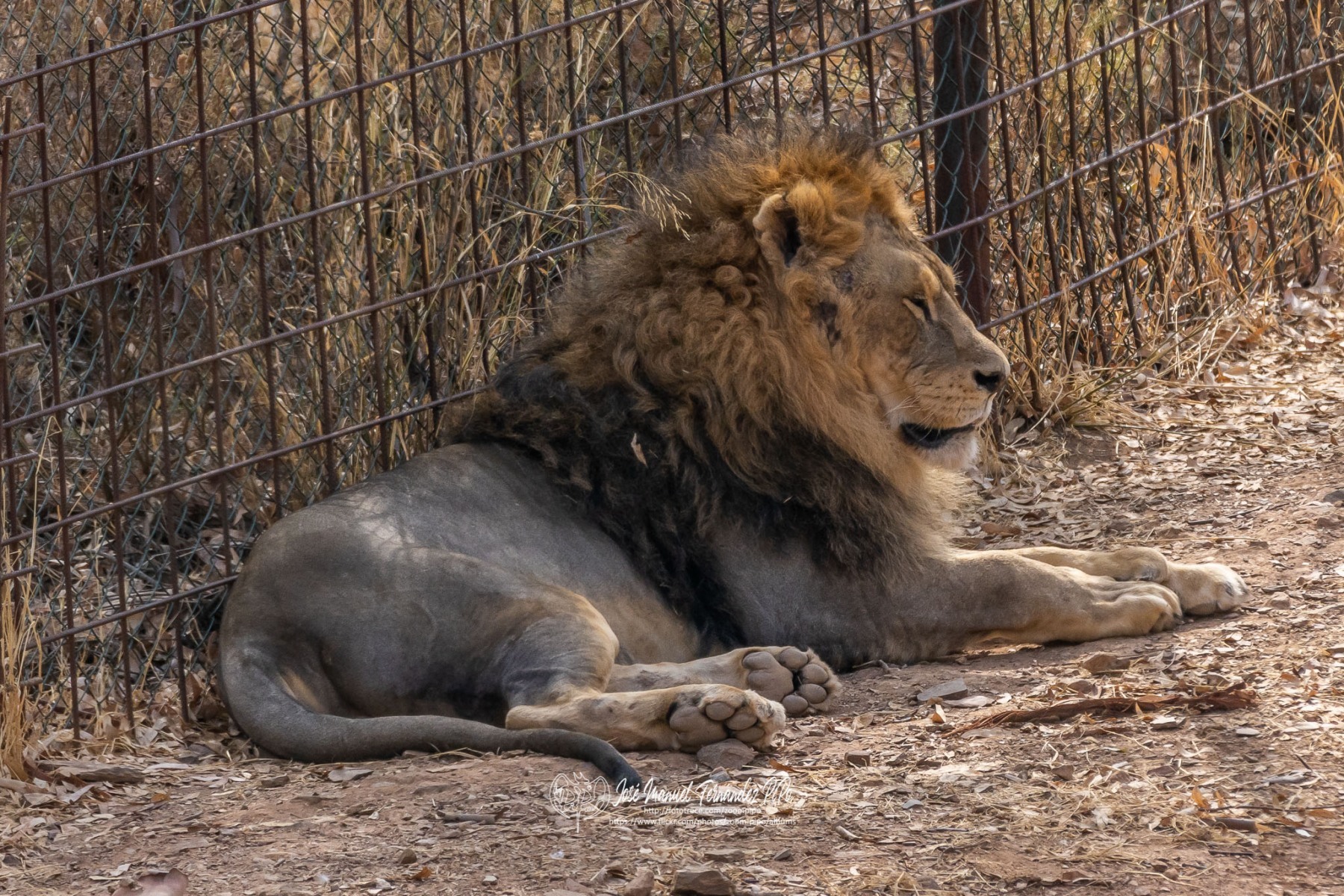 49756263212_05672ddc15_o