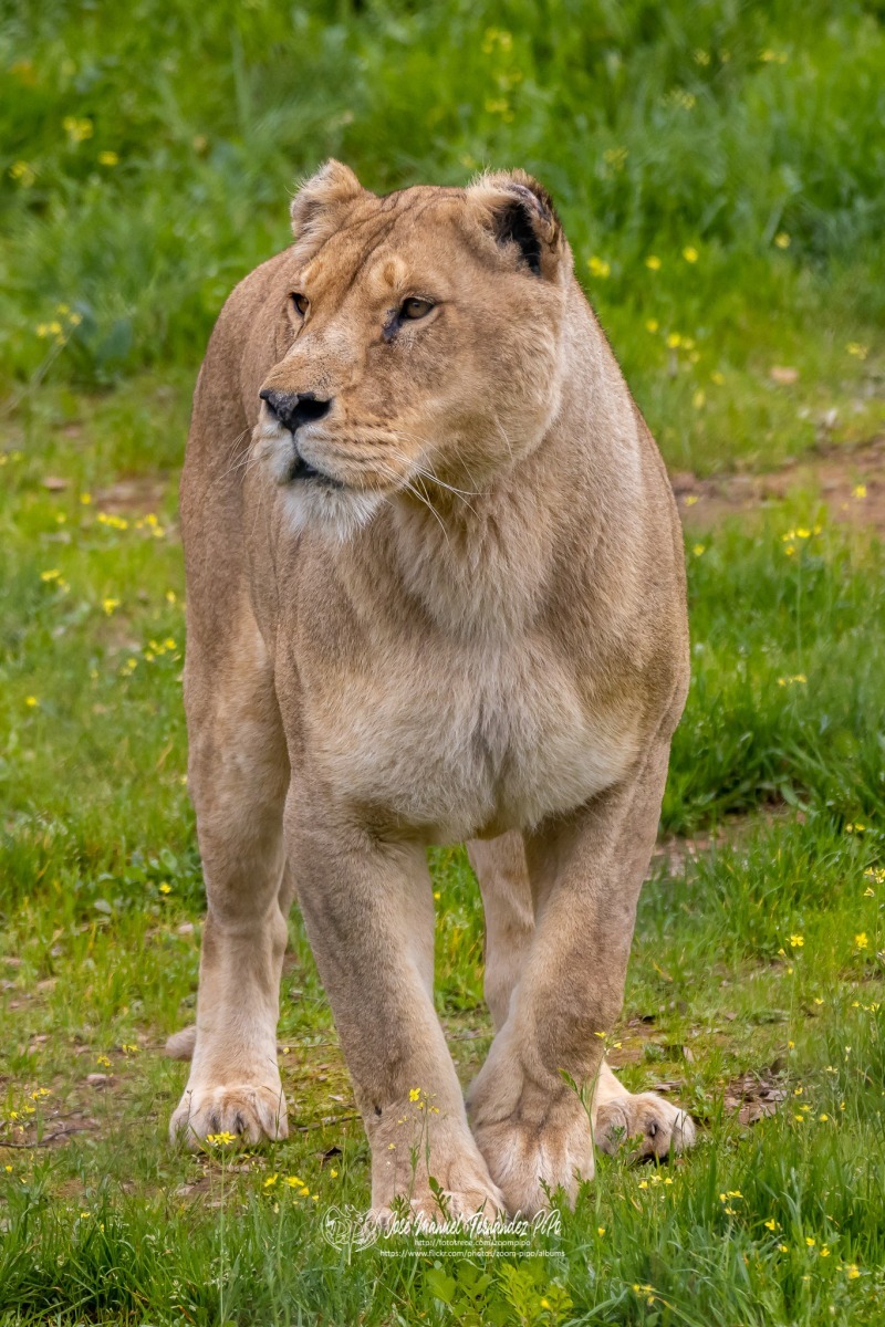 49765743118_ac1ebaeea6_o