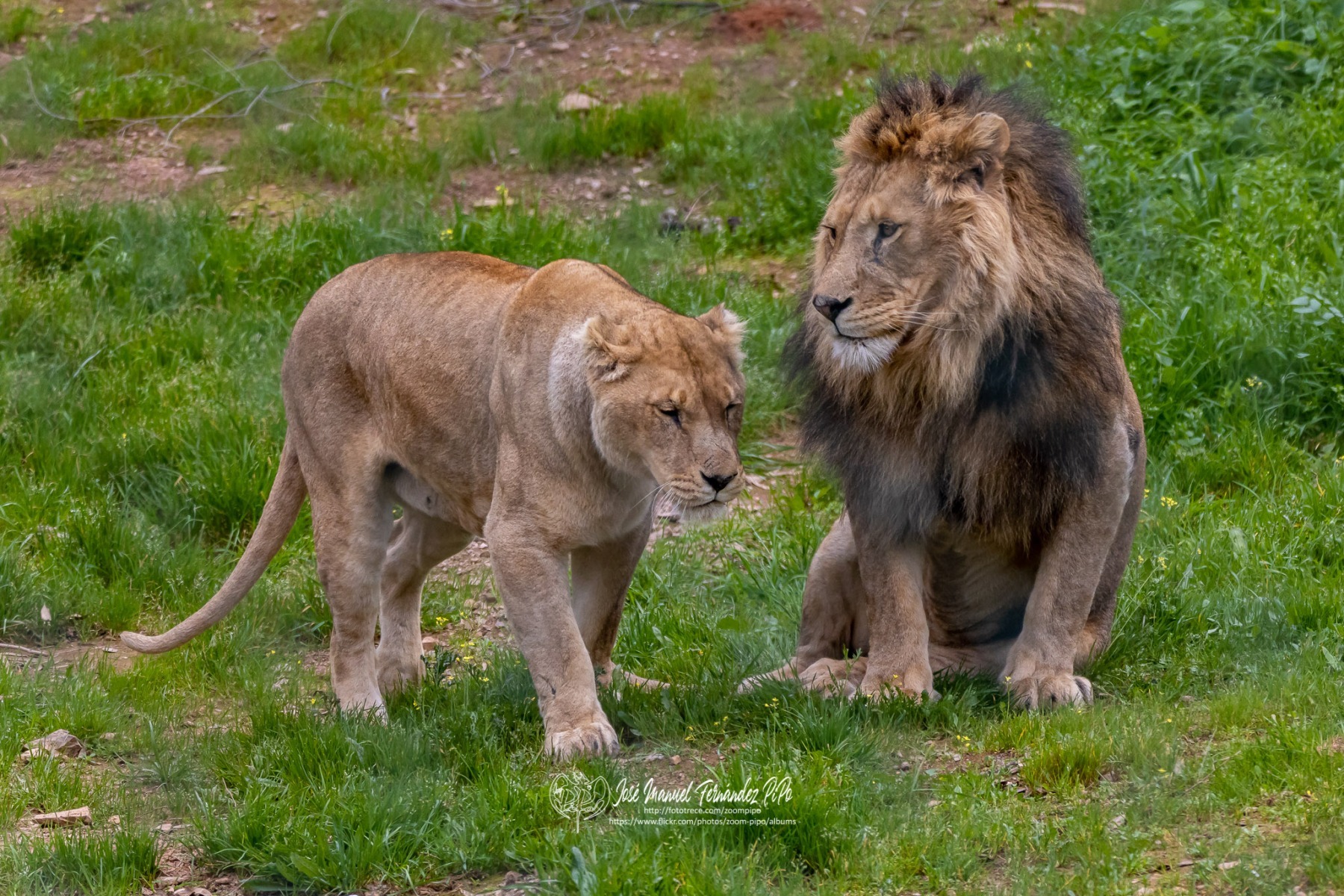 49765743883_b702be337c_o