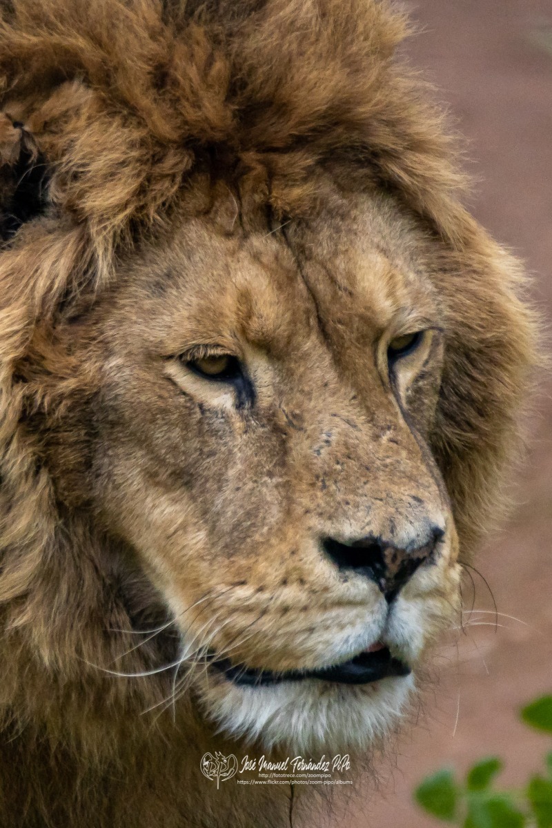 49765744308_d33bfd7d85_o