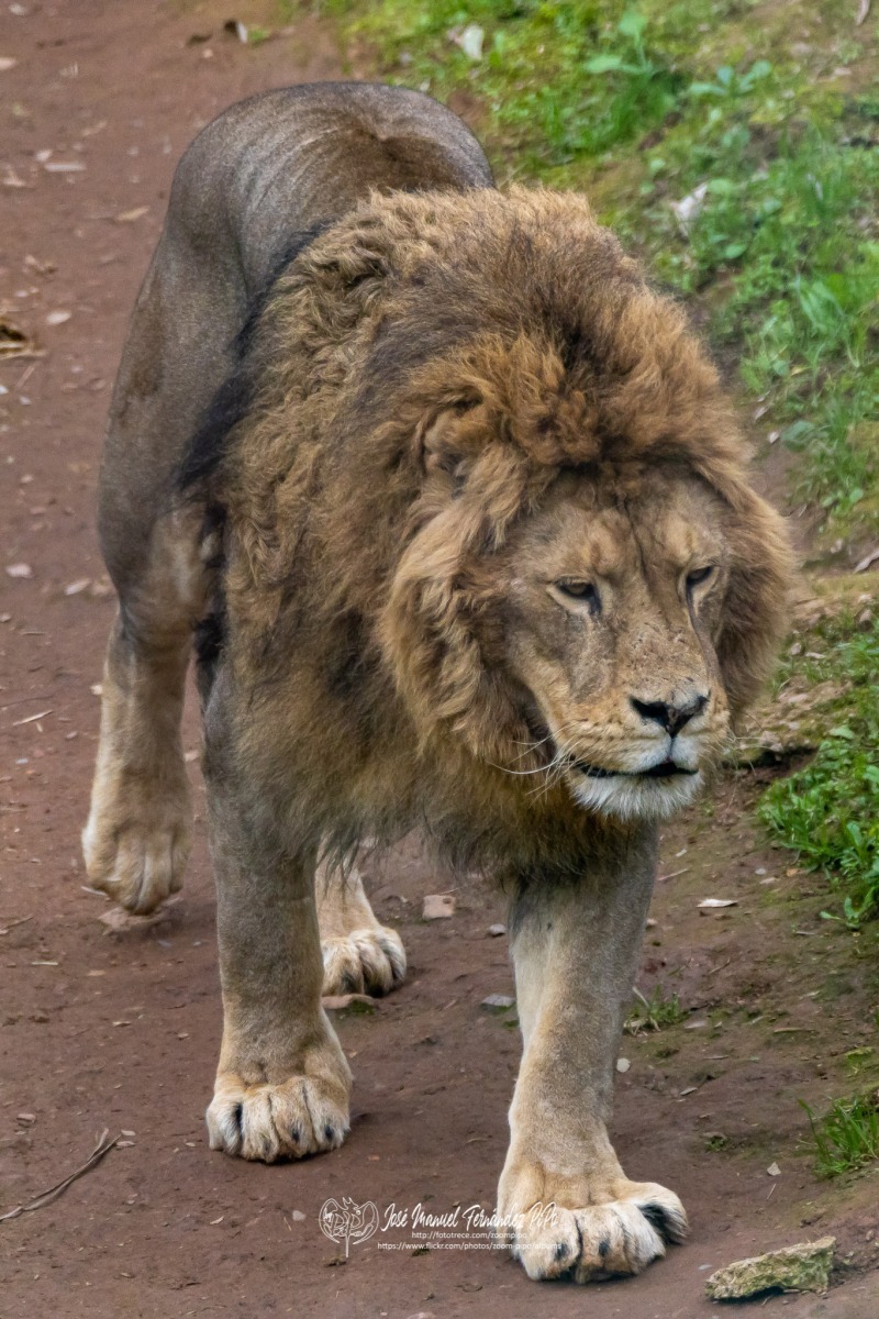 49765744338_1567492190_o