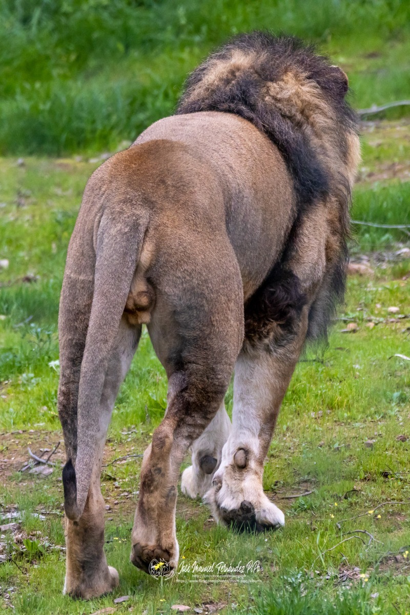 49765744508_b1d5af4345_o