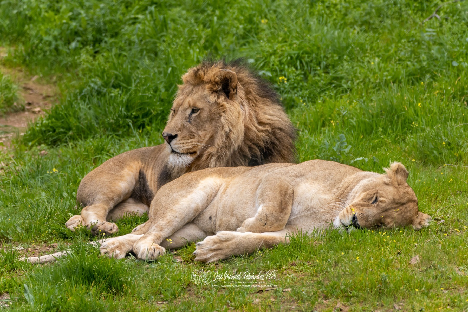 49766277136_7ea9a2c323_o