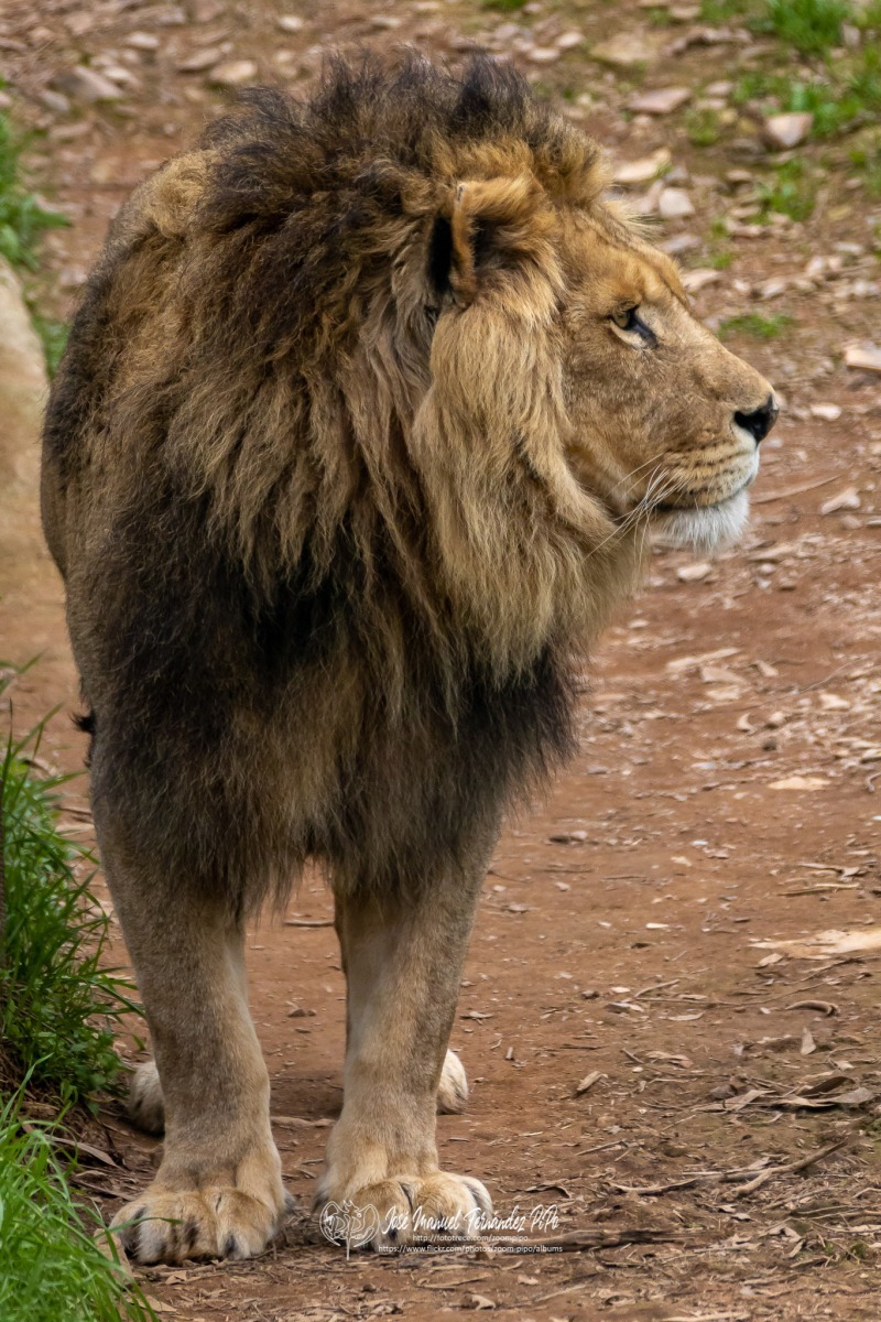 49766277896_513b2ac749_o