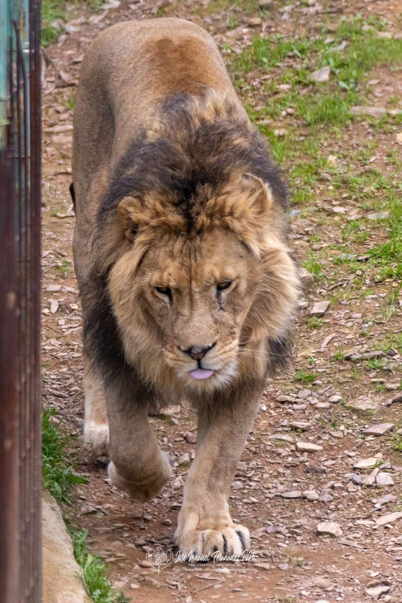 49766277926_f5cc62f517_o