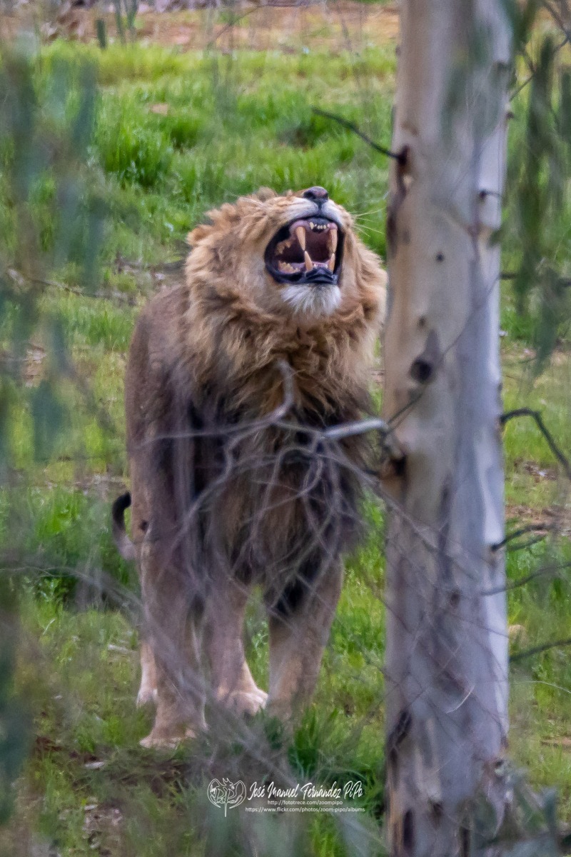 49766278051_63fd683385_o