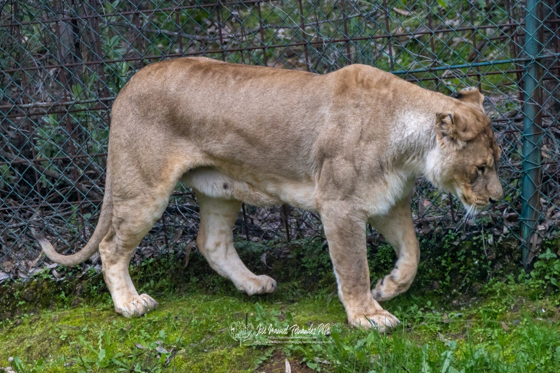 49766278151_a3ddda1eaa_o