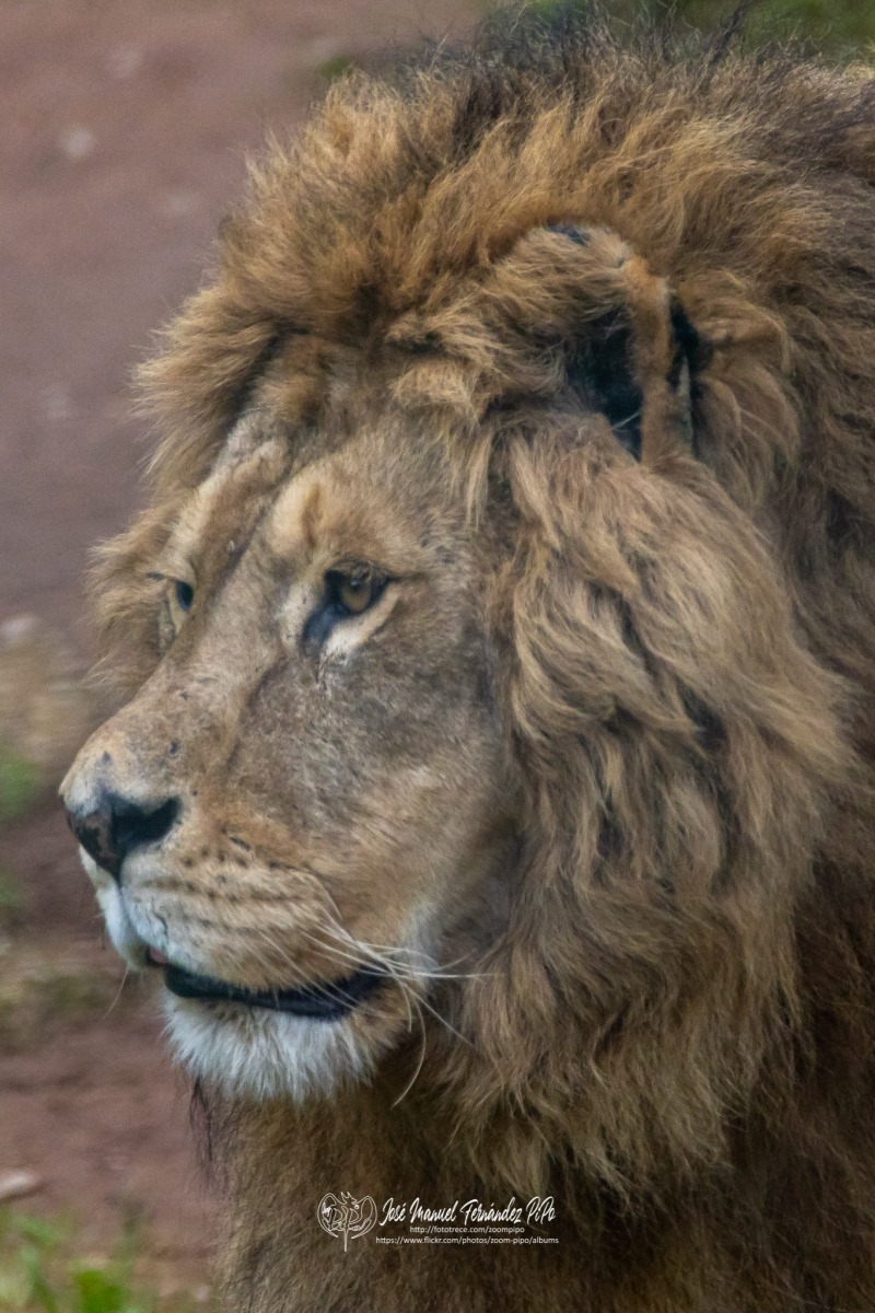 49766278266_7d70c1a7e5_o