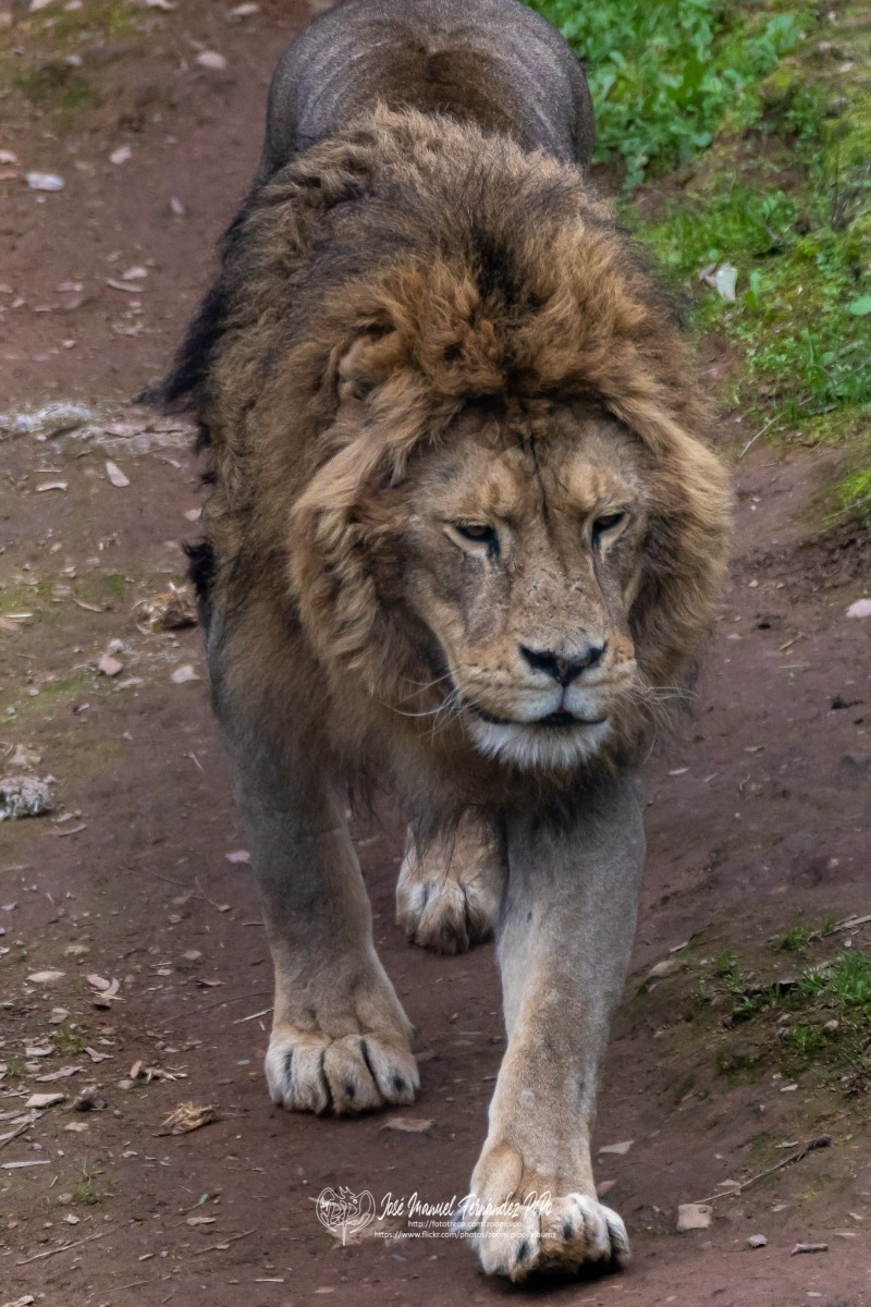 49766278356_bd8a624af0_o