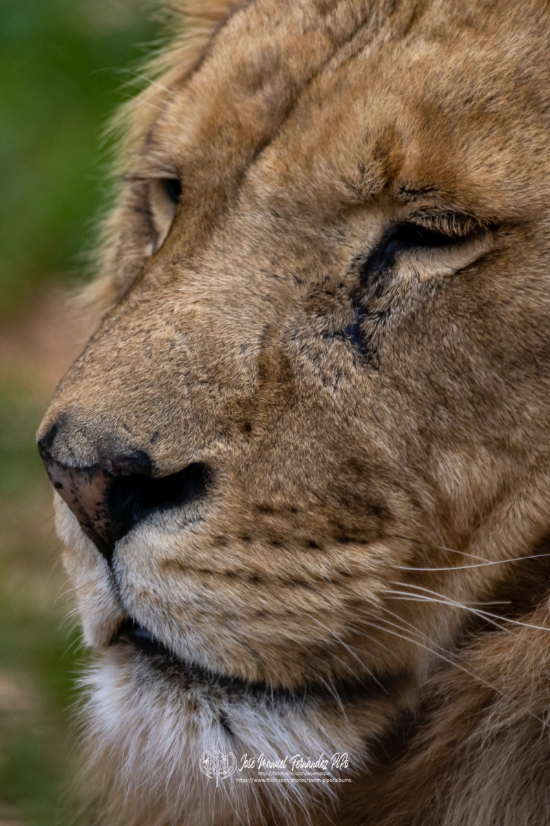 49766278546_f712eef91f_o