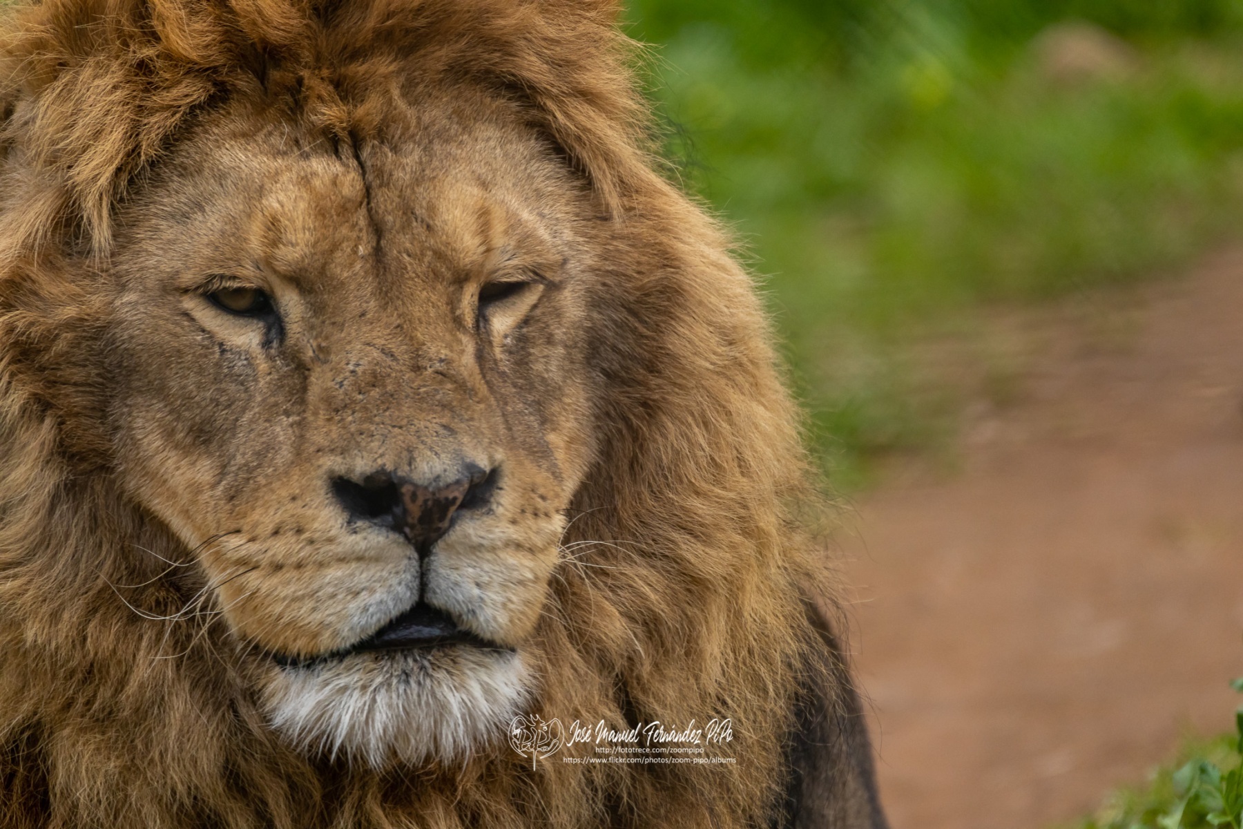 49766607657_f7c9193abe_o