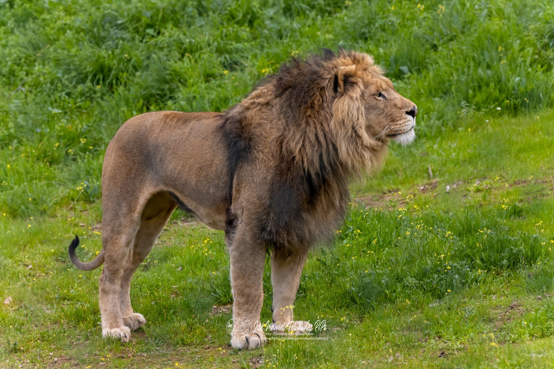 49766607877_01b6149714_o