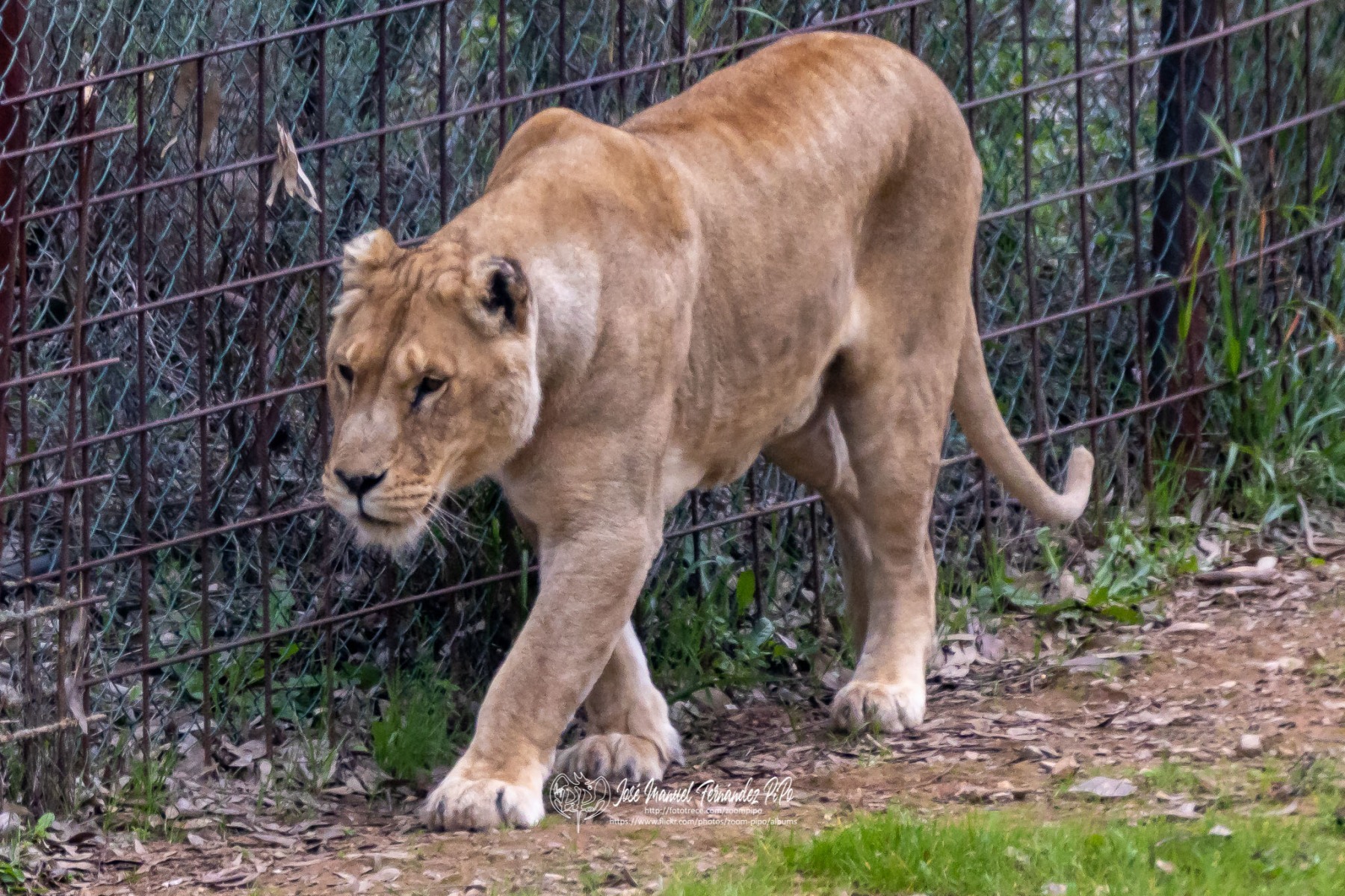 49766608692_98569f1e8a_o