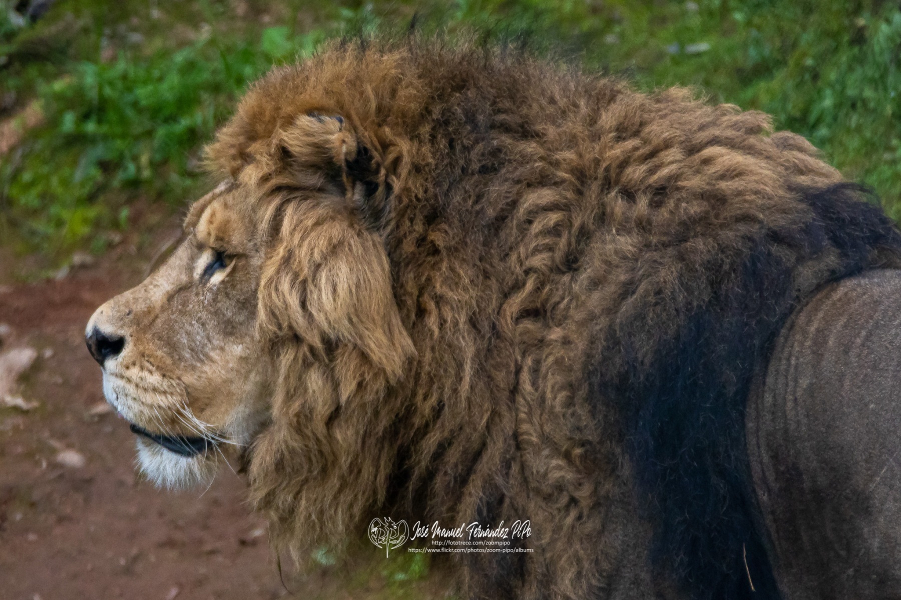 49766608927_f07e2dfab0_o