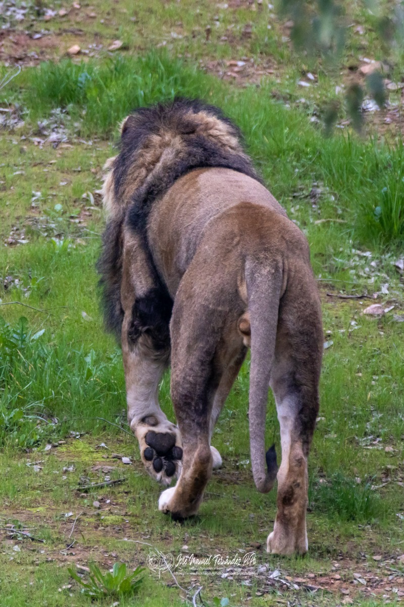 49766609262_631e6e7028_o