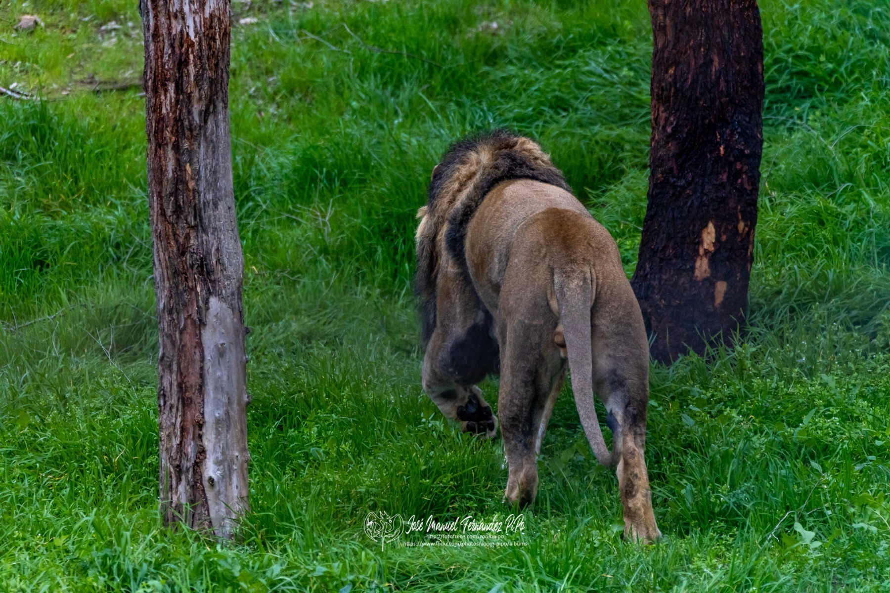 49766609307_dde626256b_o