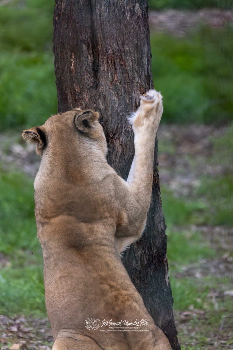 49766609412_ac1e0deece_o