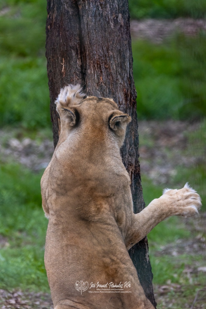 49766609417_7a1e43bb54_o