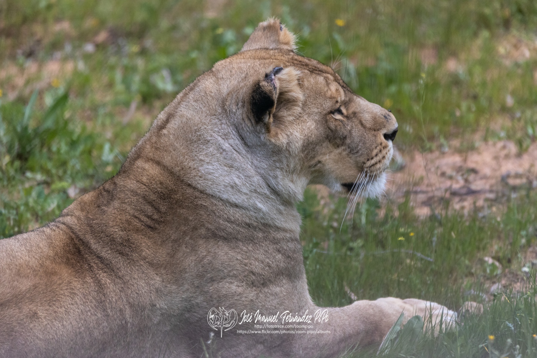 49981299452_05f787a6a0_o