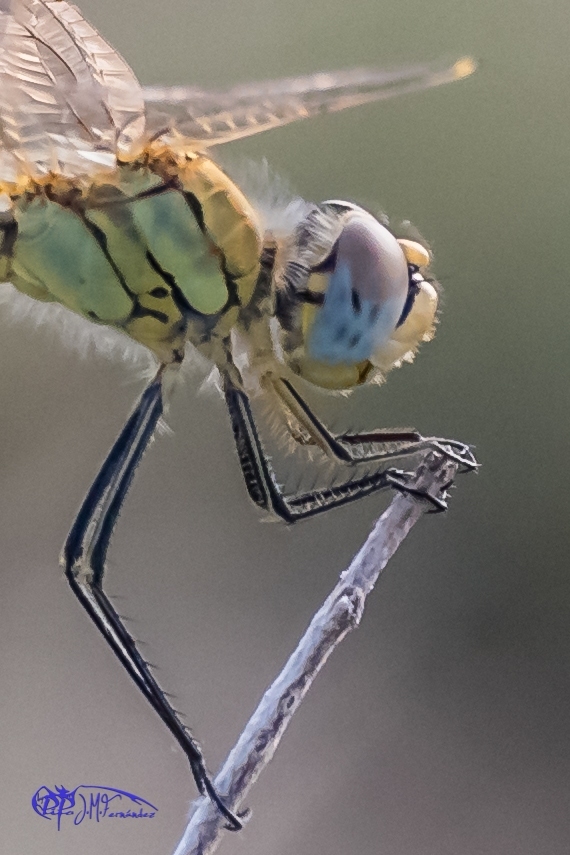 23245553283_5136b49190_o