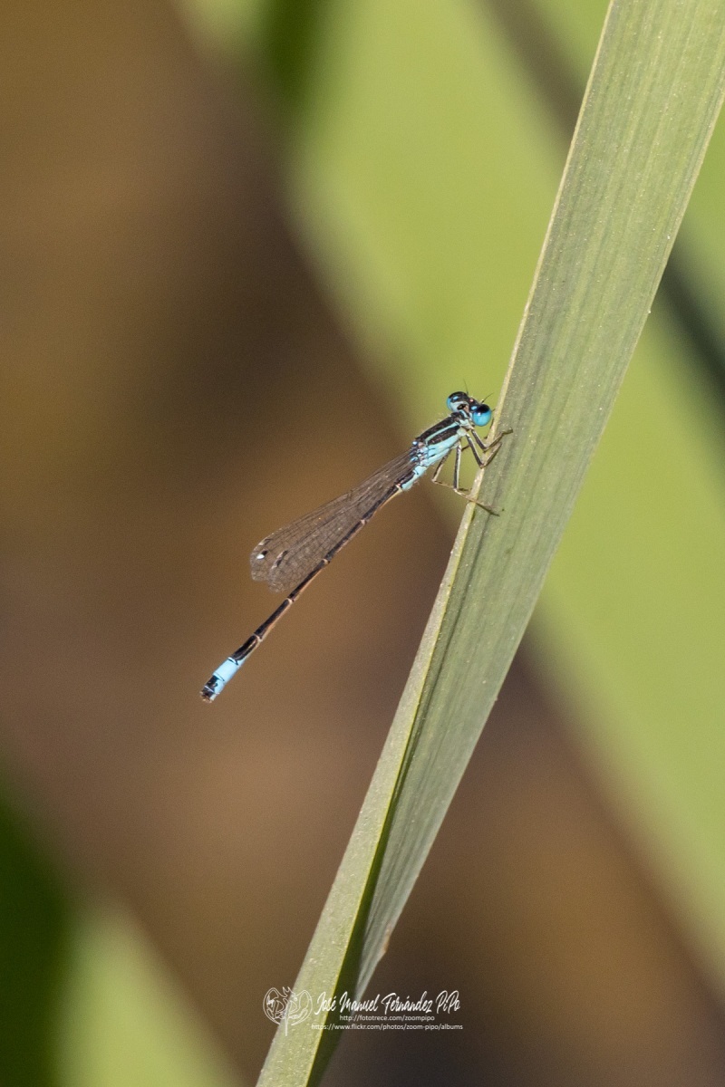 48691732113_c700e48ee8_o