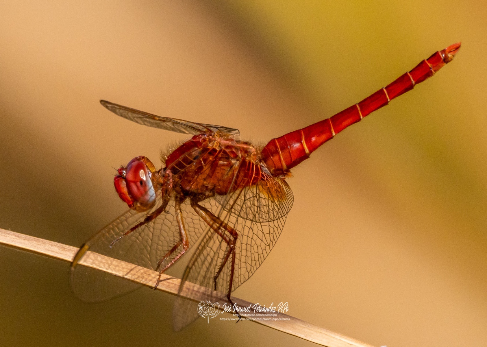 48715389626_e787961163_o