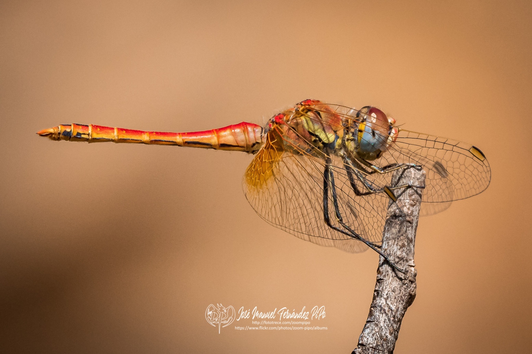 50345126132_59b2667863_o