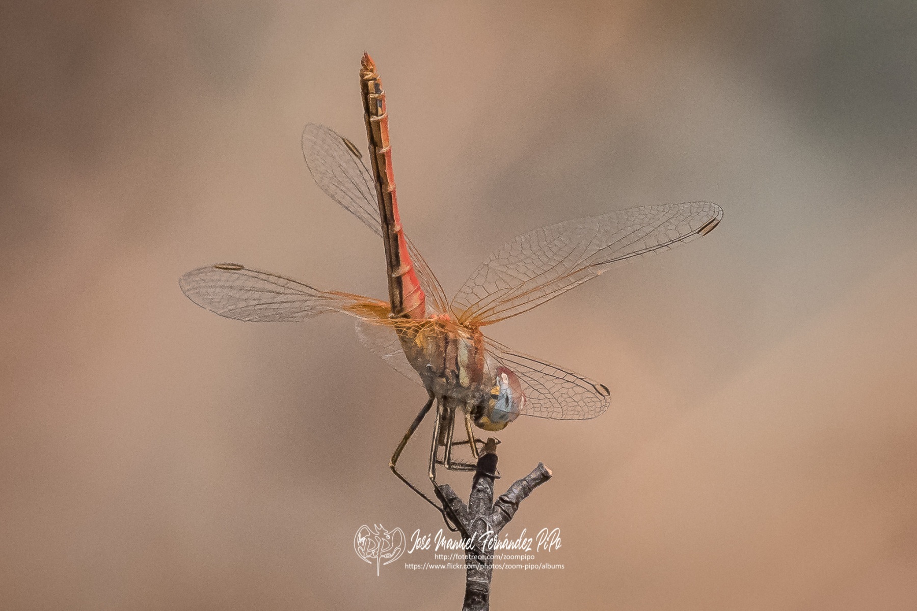 50782030978_810db92a0e_o