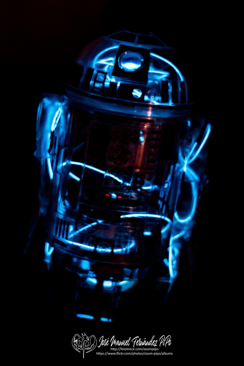 48221363906_3b3dd186f1_or