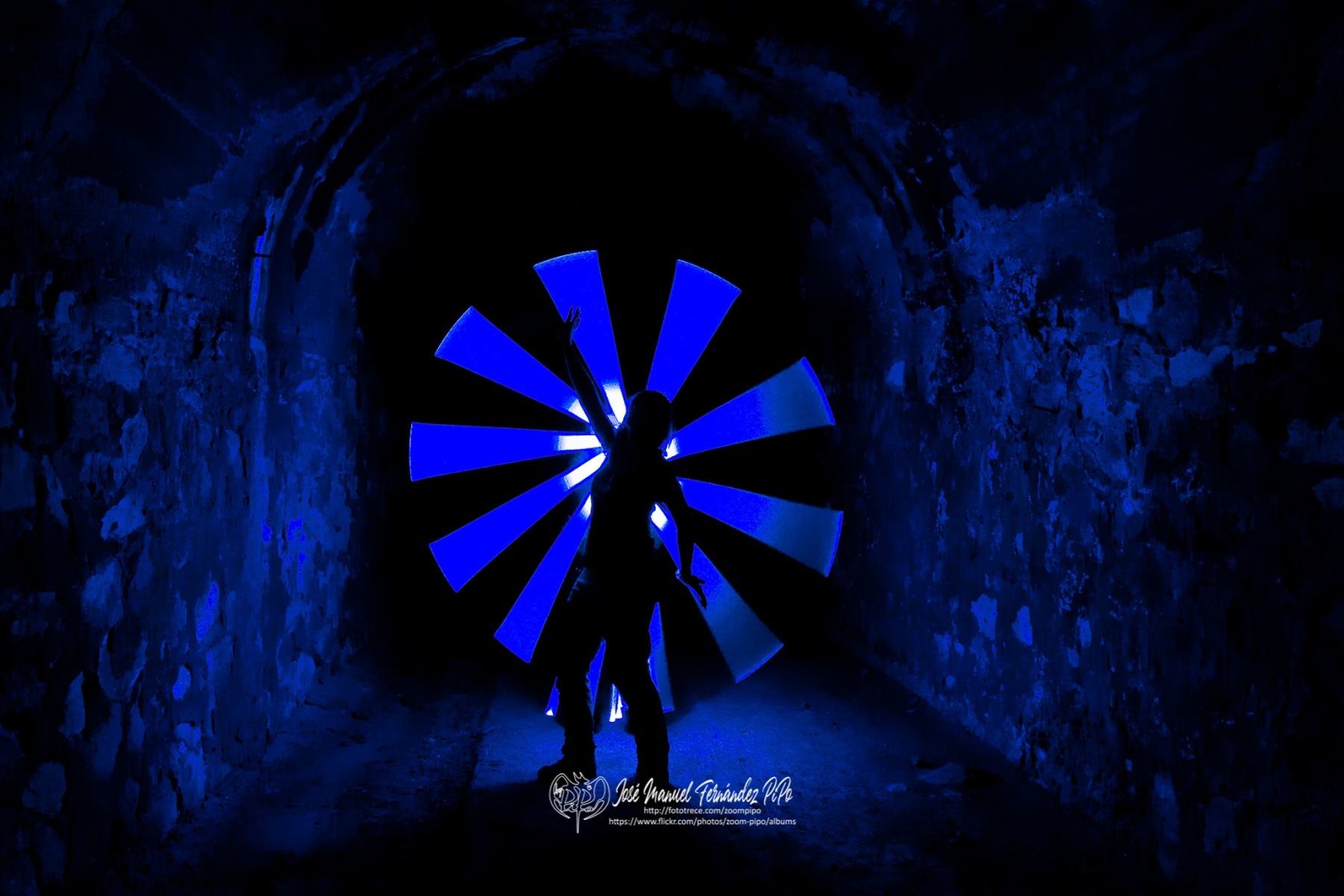 49172465737_464928fd1d_or