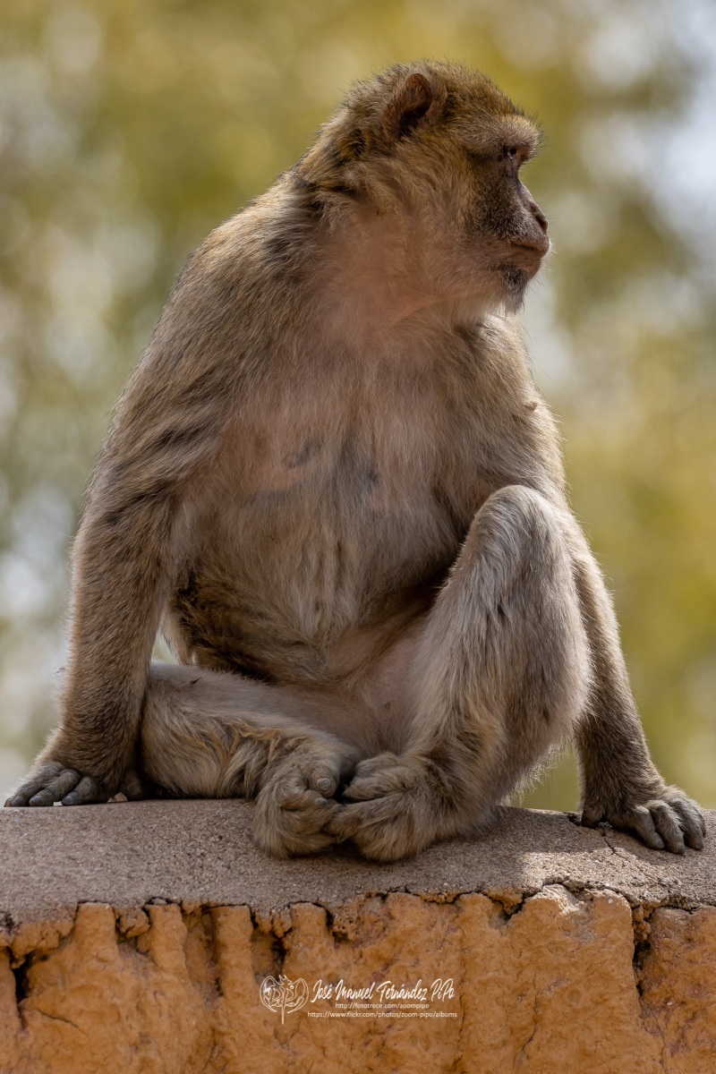 49208173781_3547e6bf25_o