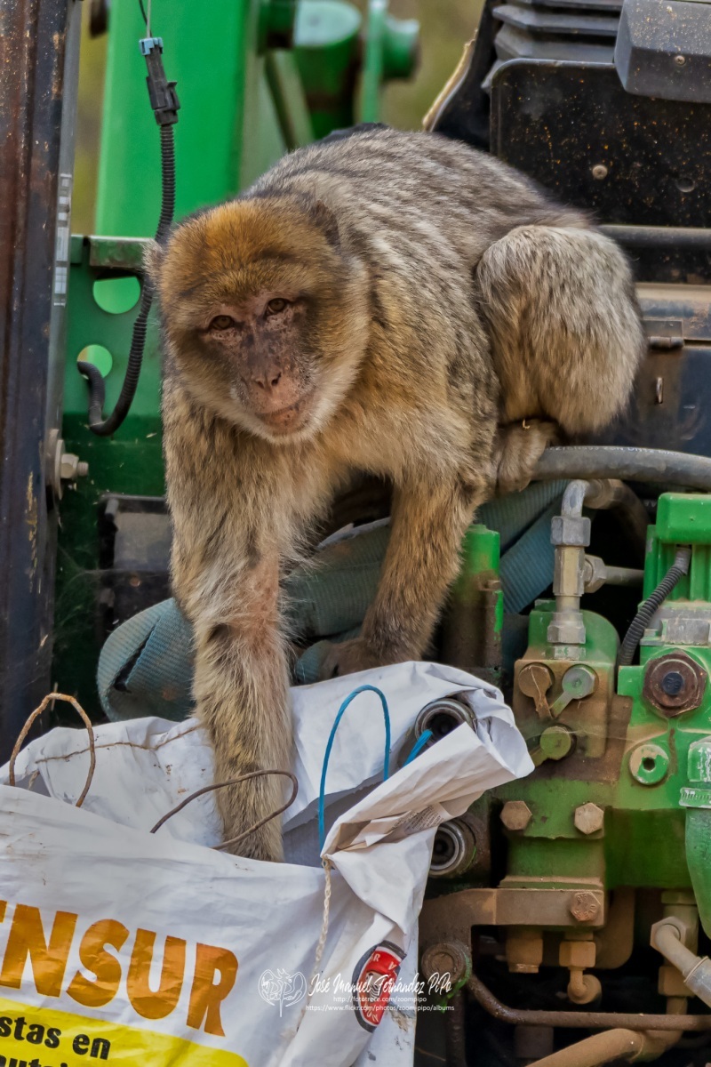 49563734753_7c3f905286_o