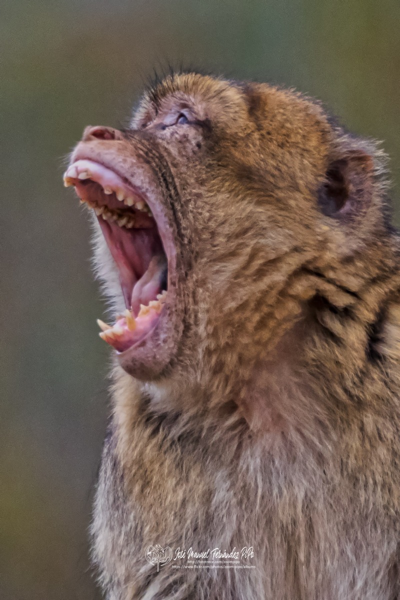 49564458957_84dcd2f09a_o