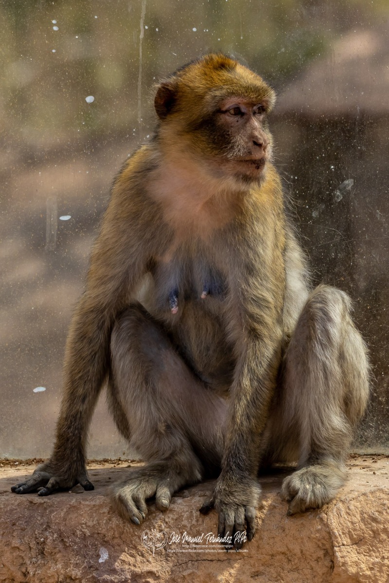 49756262887_cb52a10a15_o