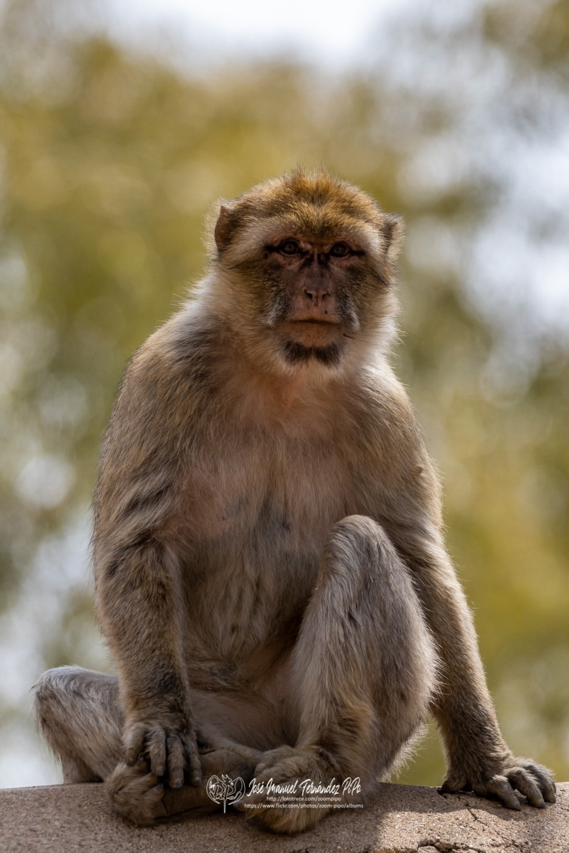 49756262957_580752c954_o