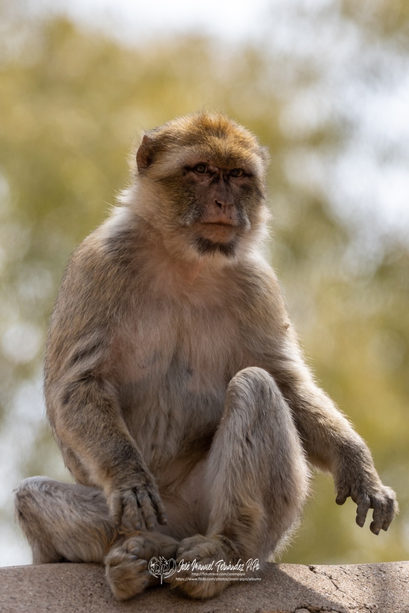 49756262997_ed16cb02ea_o